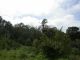 DSCN9156.JPG