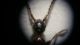 20151227_100846.jpg