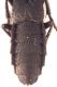 2818 7.jpg