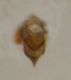 DSCN1212.JPG