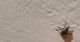 20160111_201335_001_resized.jpg