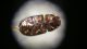 20160114_172701.jpg