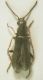 DSCN1311.JPG