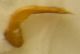 DSCN1315.JPG