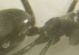 DSCN1358.JPG