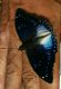 IMG_20160212_132534315.jpg