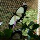 IMG_20160212_132619230.jpg