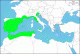 Chalcophora_massiliensis.gif