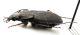 CombM1917_47zF5cr.jpg