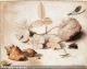 heer-margareta-margaretha-de-a-study-of-flowers-insects-and-s-1733252.jpg