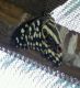 IMG_20160308_172315919.jpg
