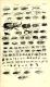 Historiae_naturalis_de_quadrupetibus_libri_-_cum_aeneis_figuris;_(Historiae_naturalis_de_serpentibus_libri_II;_Historiae_naturalis_de_insectis_libri_III;_Historiae_naturalis_de_exanguibus_aquaticis_(14565832779).jpg