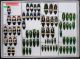 Buprestidae 1.JPG