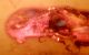 20160322_220954.jpg