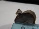 DSC00572.JPG