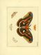 illustrationsofn11770drur_0107.jpg
