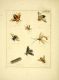 illustrationsofn11770drur_0222.jpg