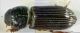 Pleurophorus sp 3mm-6.jpg