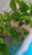 IMG-20160406-WA0002.jpg