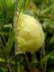 SME Nord 13.IV 2016 050.JPG