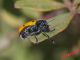 ♂ 09-05-2014 IMG_0056.jpg