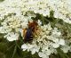 DSCN25301.jpg