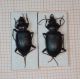 IMG-20160427-WA0005.jpg