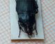 IMG-20160428-WA0008.jpg