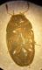 Hydrophilidae sphaerodinae 1.jpg