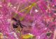20160502-8034.jpg