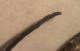 argogorytes 005 A.jpg