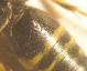 argogorytes 001 A.jpg
