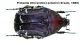 Protaetia (Dicranobia) potanini (Kraatz, 1889) - Kopie.JPG