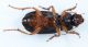 lagoLiscia280516 071mod.jpg