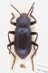 2016-05-28-16.16.58-ZS-PMax.jpg