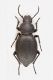 2016-05-28-16.07.27-ZS-PMax.jpg