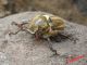 20160603_145900.jpg
