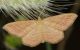 lagoLiscia280516 022mod.jpg