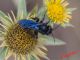 5-6-2016 IMG_5845.jpg