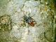 Rhagium bifasciatum_Velebit_ 008.jpg