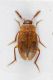 2016-06-16-23.06.46-ZS-PMax.jpg