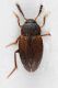 2016-06-16-23.10.10-ZS-PMax.jpg