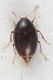 2016-06-16-22.51.59-ZS-PMax.jpg