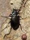 rsz_img_20160622_112143.jpg