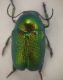 20160626_095544.jpg