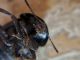 rsz_img_20160622_105957.jpg