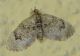 tempio ott15 005mod.jpg