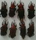 20160703_172311~2~2.jpg