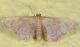 tempio040716 010mod.jpg