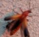 rsz_img_20160621_204450.jpg